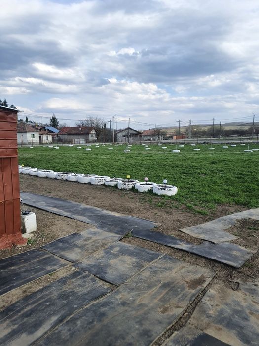 Vând urgent teren intravilan