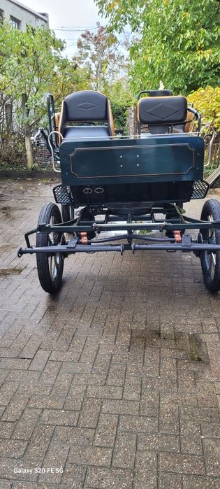 trăsură maraton de 6+2 persoane