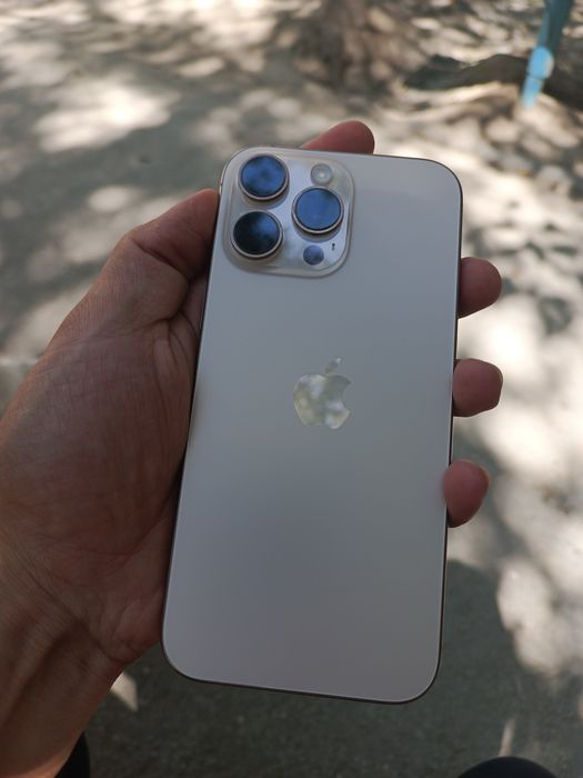 iPhone 16 Pro Max 256 GB Rangi: Desert Titanium