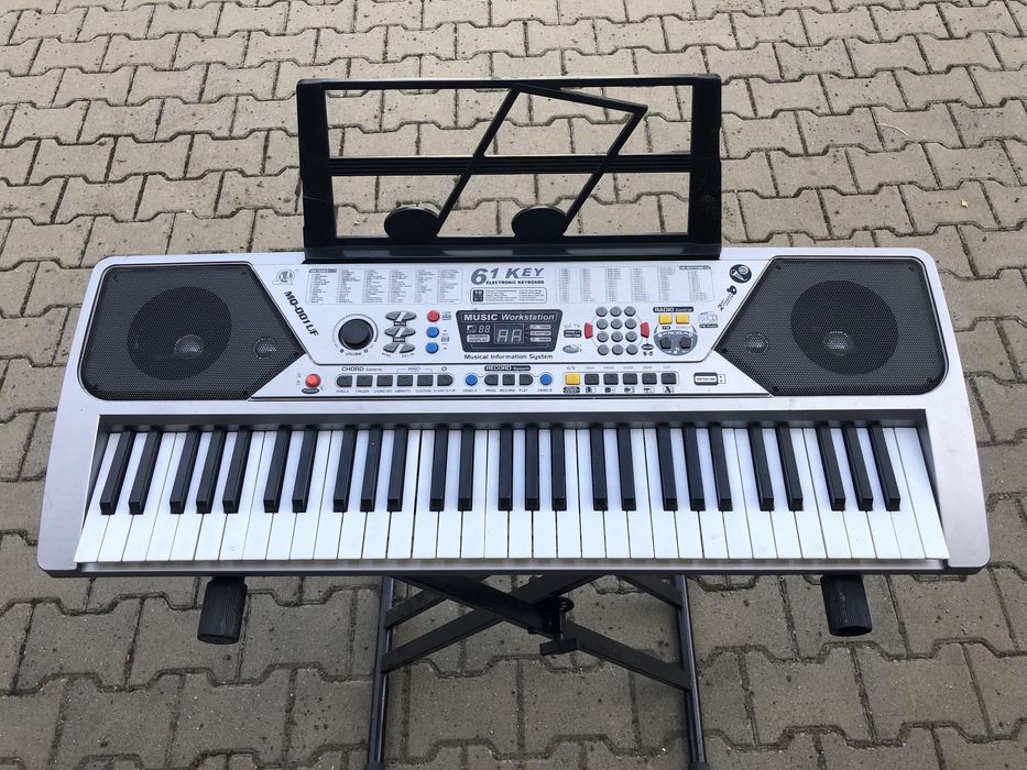 orga electronica