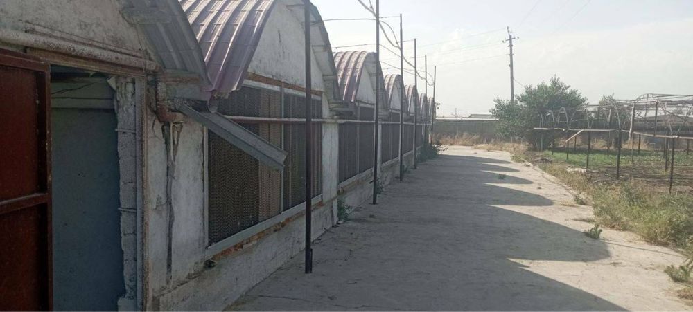 Ер-Земля 10 гктр ПРОДАЁТСЯ