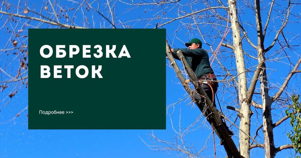 Спил валка кронирование