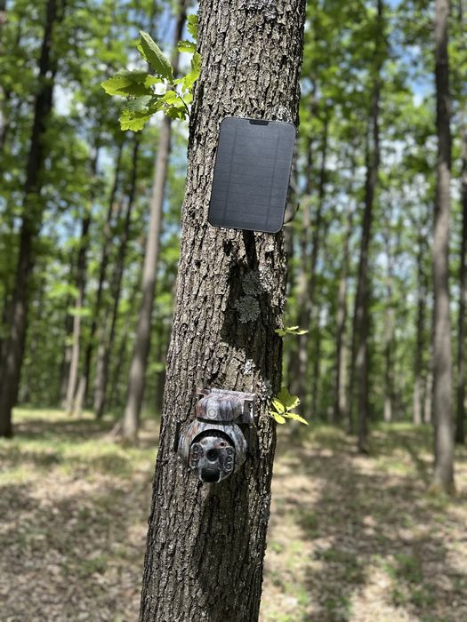 Camera Vanatoare rotativa  ForestVision Live C6