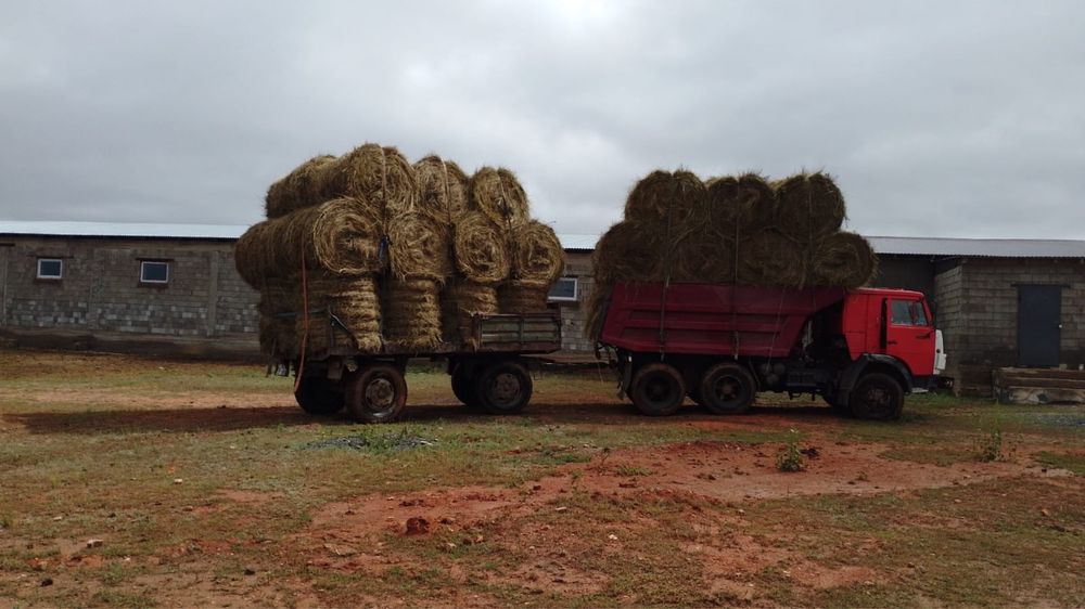 Фазенда для сельского хозяйства