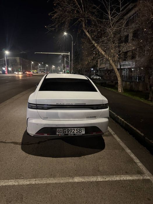 BYD Chazor Luxe 55 km