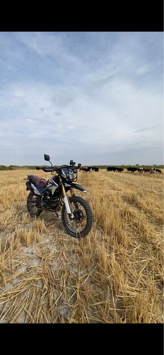 Asian Raptor 250 cc сатылады