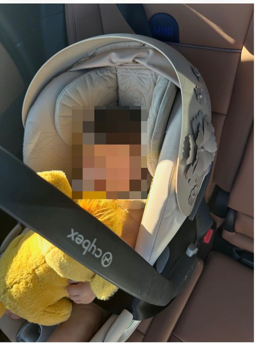 Cybex Priam 4, с дизайнерски кош