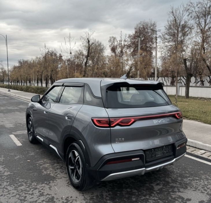 BYD Yuan Up 2025 Full 401km Smart Byd