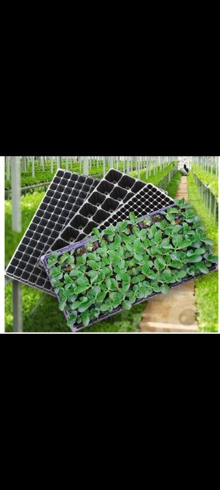 128talik.72.talik.50.talik.kaseta.urugʻlarni undirish uchun