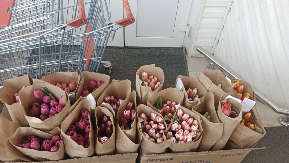 Крупные тюльпаны от 500тг