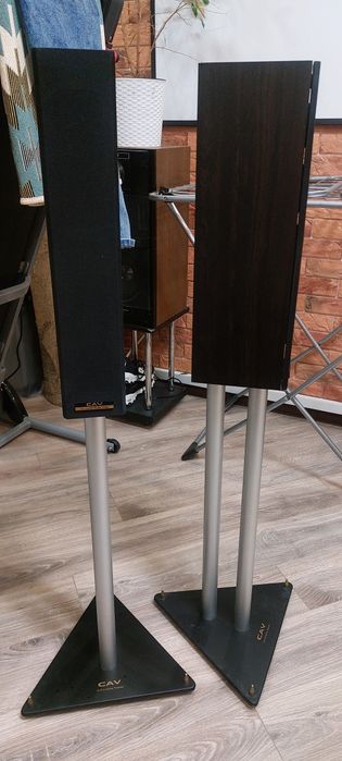 Акустическая система