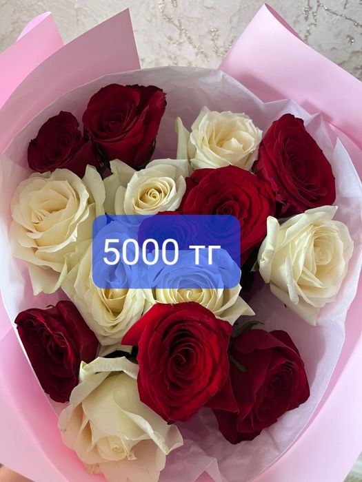 Продам цветы сегодня