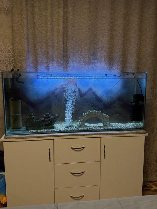 Аквариум на 180 дитроа