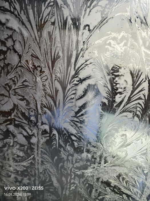 виво х 200 в отличном обмен