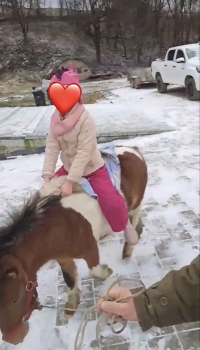 Vand ponei 3 ani jumate sau schimb pe vitei