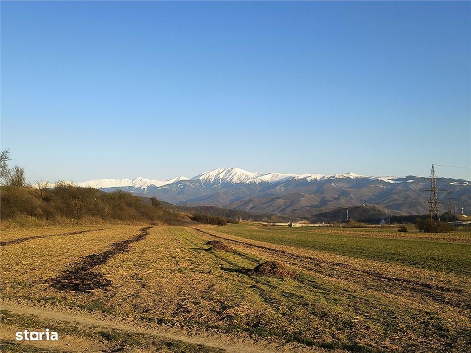 Teren extravilan de vanzare Talmaciu