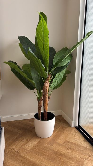 Исскуственная пальма 1.5метра в идеальном состоянии.