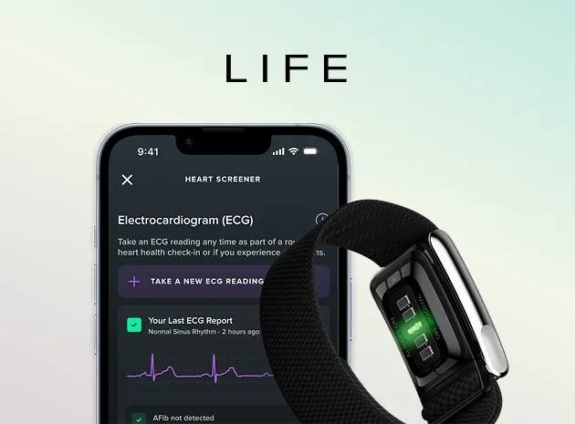 Whoop Life браслет