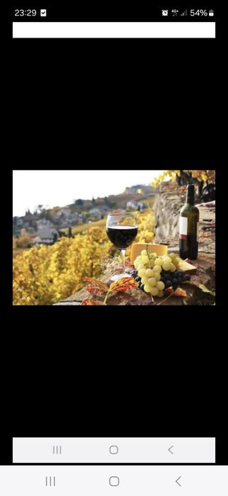 Struguri pentru vin