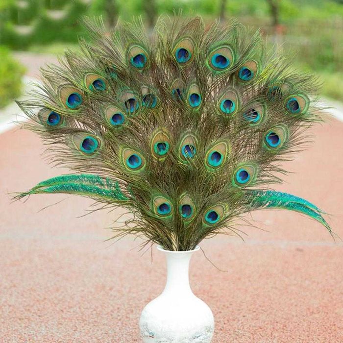 Перья Индийского Павлина