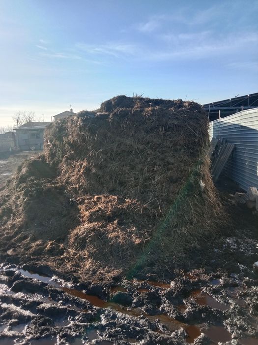 Перегной навоз город сарань