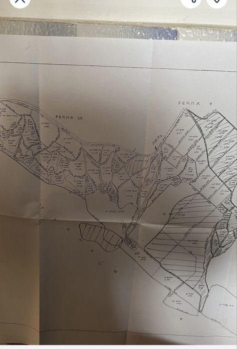 Fermă Rasova /Constanța Afacere 107 ha comasate
