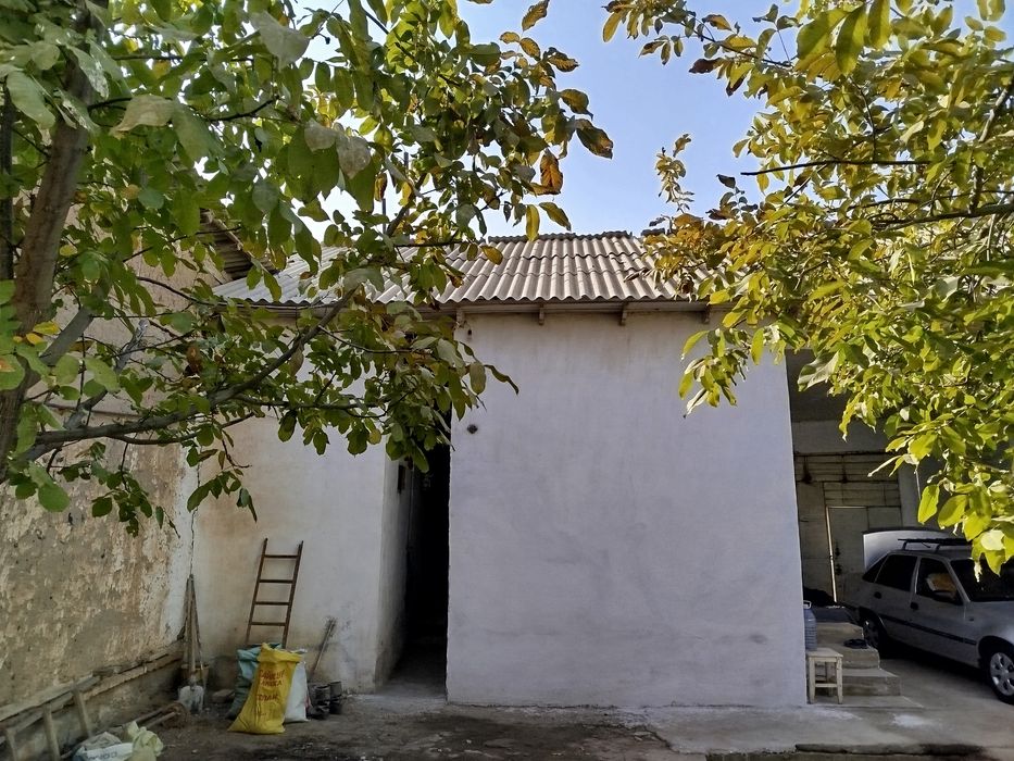 Uy sotiladi qawqadaryo shahxrisabz shahar guliston 62 uy