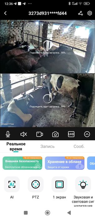 Бука сотилади катта