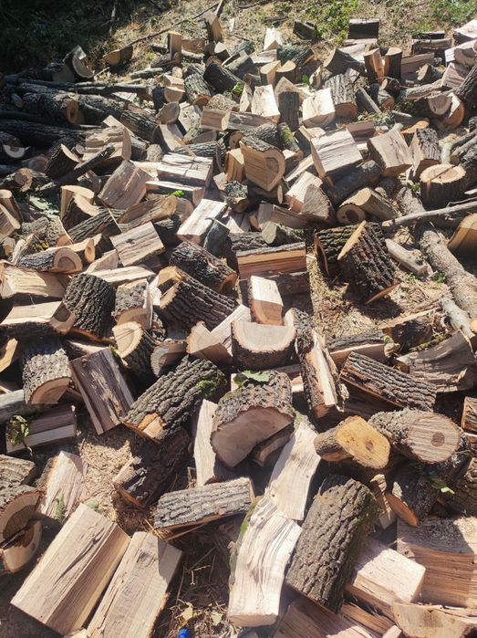 Дърва за огрев нарязани и нацепени и в чували