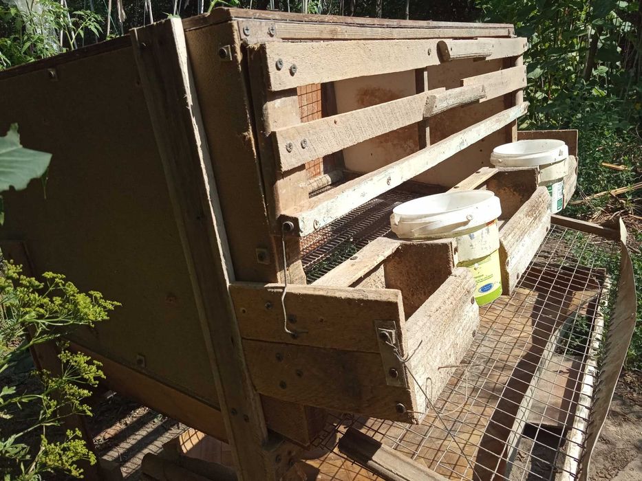 Клетка для взрослых кур