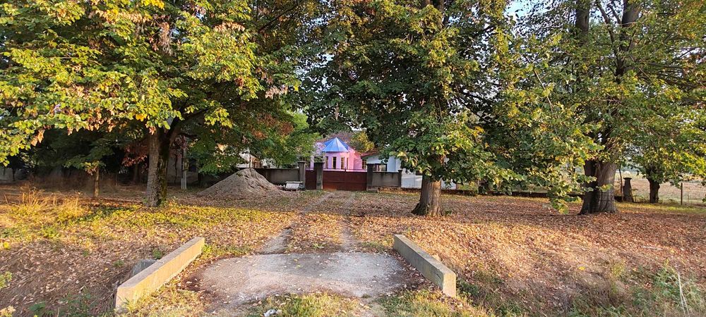 Ocazie - Casa de vânzare în Vărădia de Mureș, jud. Arad