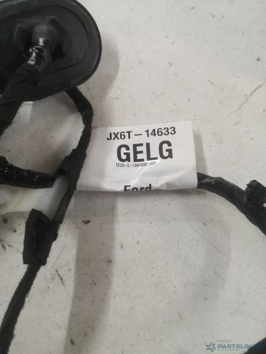Instalatie Electrica Usa Stanga Spate Ford Focus Iv (Hn) [ 2018 - > ]