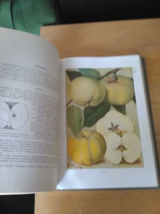 Книга ,, Българска помология,,-том първи