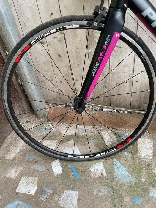 Cursiera Principia Evolve Factura+Garantie -A-