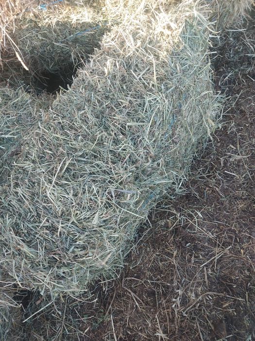 Vând baloti de lucerna,fan și paie de grau