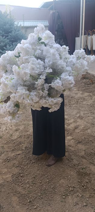 Суний Сакура гулиидан букет. 25 та ветка бор