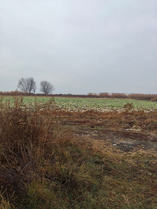 Продаётся крестьянское хозяйство!