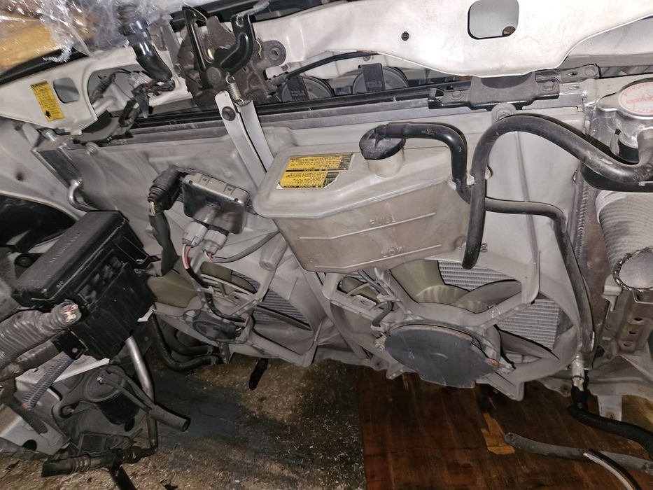 Ноускат Toyota Aplhard 3.0 морда