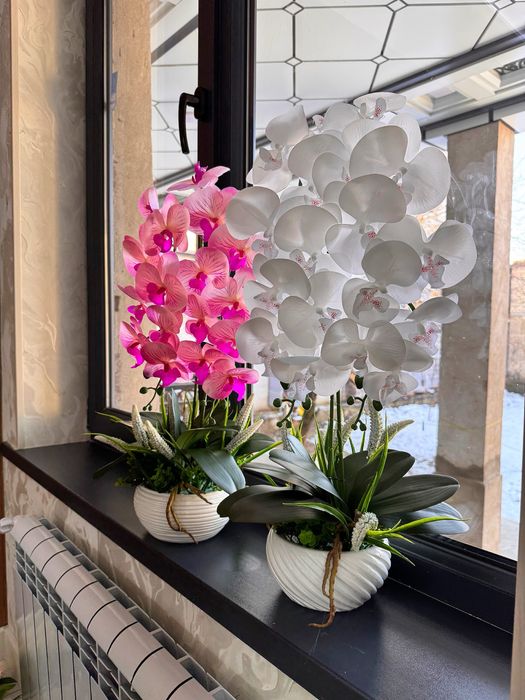 Dekorativniy gullar sotiladi