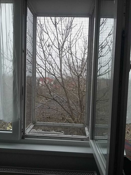 Vand cusca termopan pisici