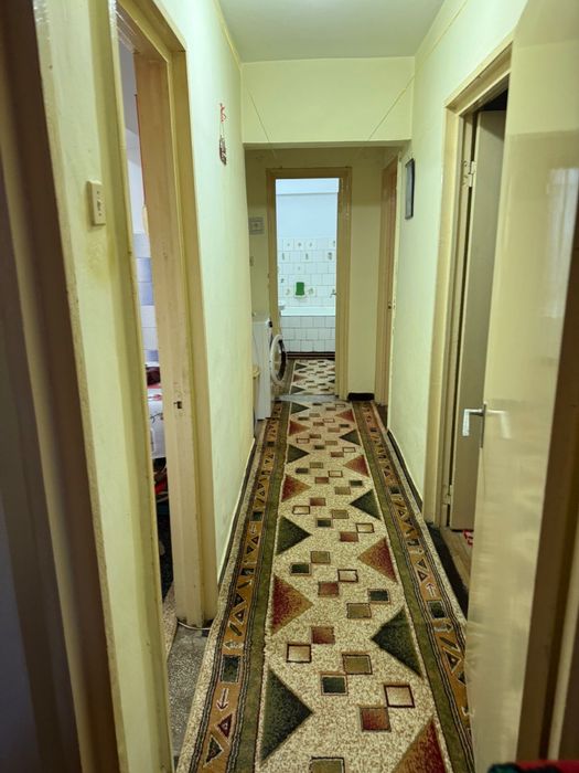 Apartament 3 camere