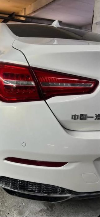 Костоправ маляр