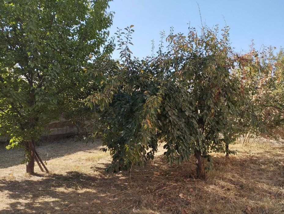 4  сотих ер сотилади