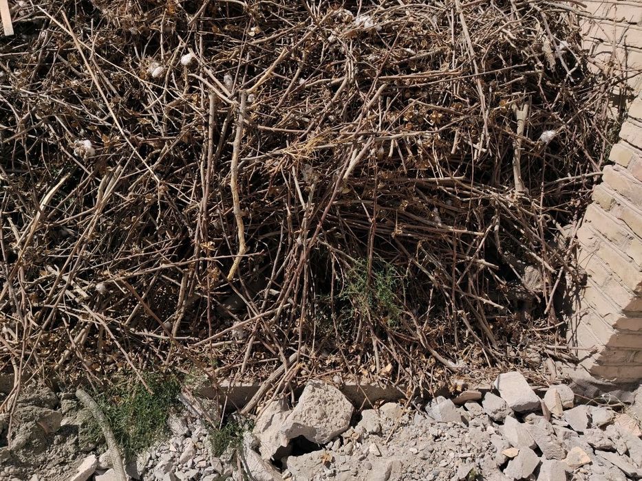 Утин срочно сотилади