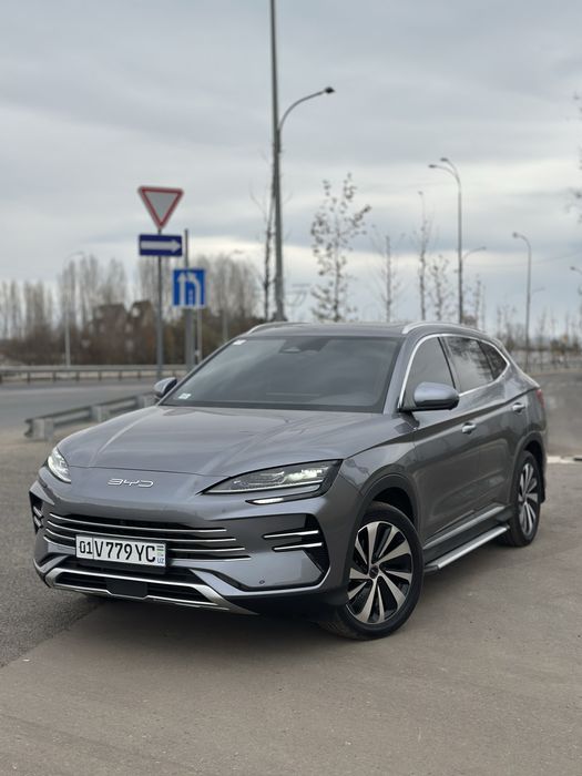 BYD Champion 150 Km Gbrid 2024