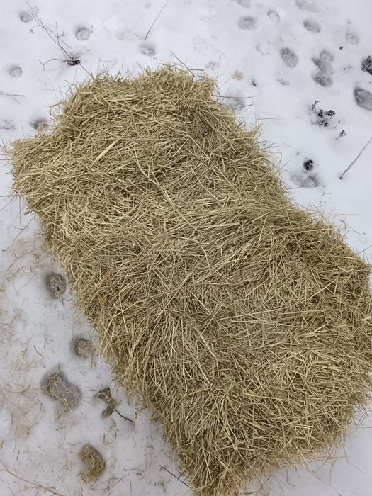 Шөп сатылады 1500 теңге