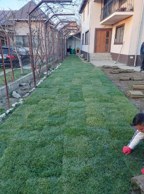 Gazon Rulou  Premium Rustic/Sport