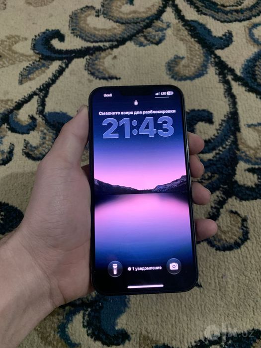 Iphone 13 pro max