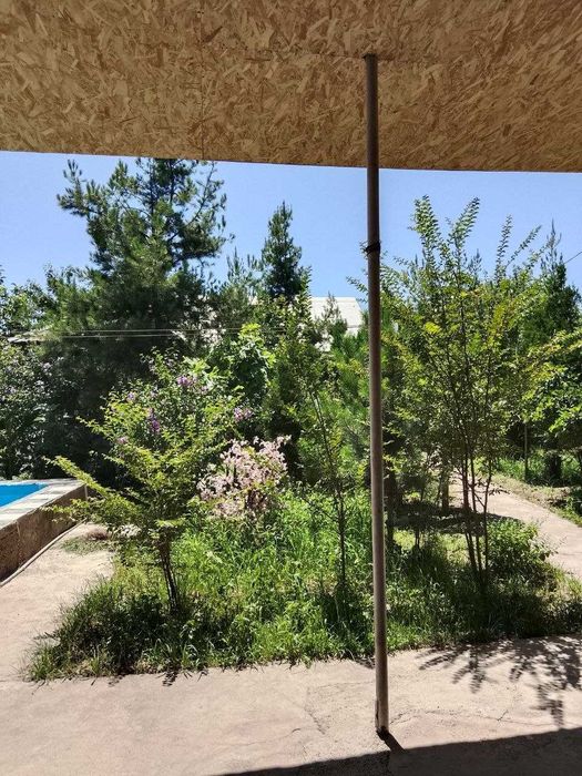 Dacha arenda Chirchiq Gazalkent. hamma sharoiti bor