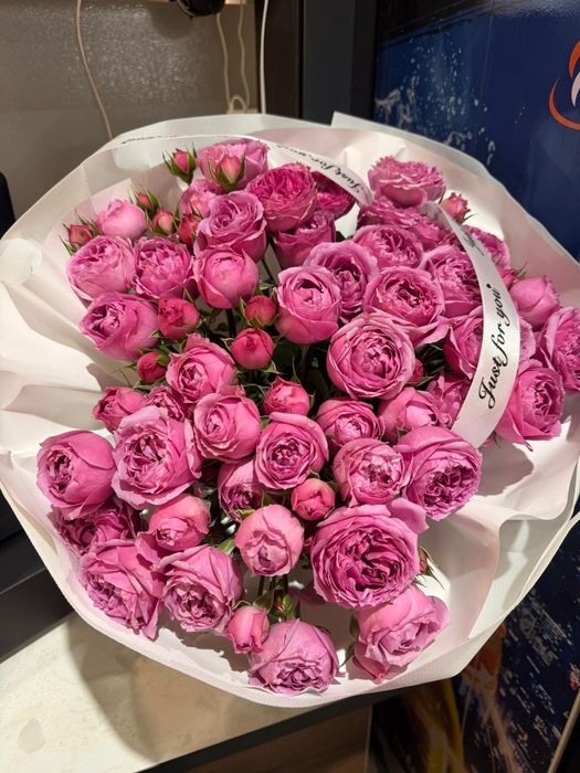 Продам цветы срочно! Сегодня собрали